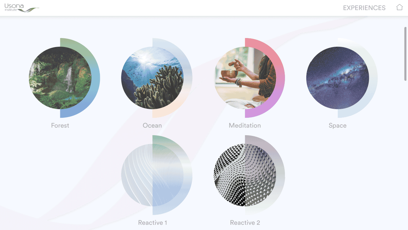 Therapist interface, experience selection